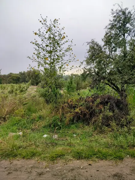 Terreno en venta en Cuanalá, Juan C. Bonilla — foto 2 de 28