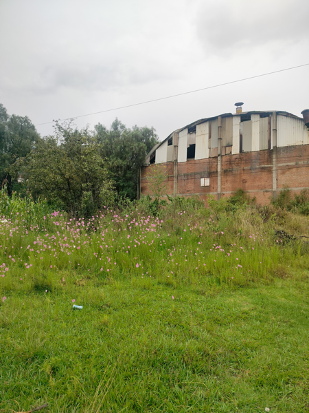 Terreno en venta en Cuanalá, Juan C. Bonilla — foto 3 de 28