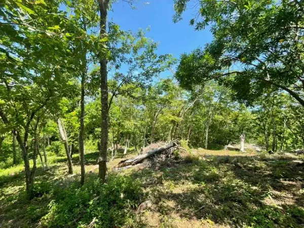 Terreno en venta en Arroyo Cruz, San Pedro Pochutla — foto 2 de 12