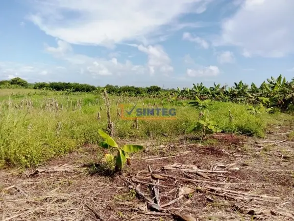 Terreno en venta en Tenixtepec, Papantla — foto 3 de 22