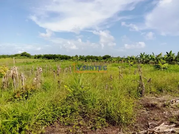 Terreno en venta en Tenixtepec, Papantla — foto 2 de 22