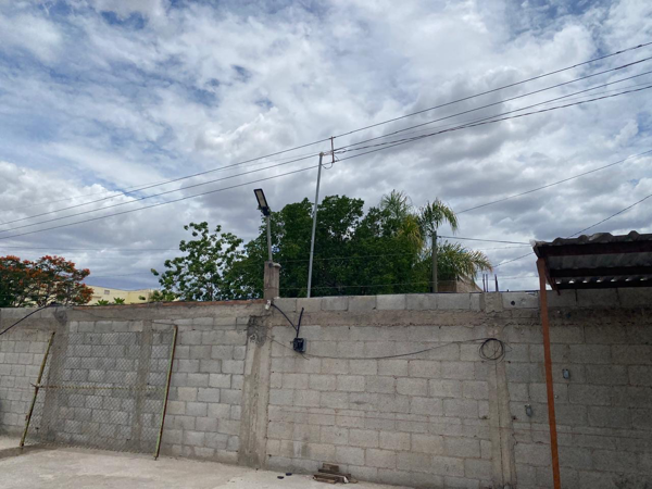 Terreno Bardeado y con caseta en el Tajito
