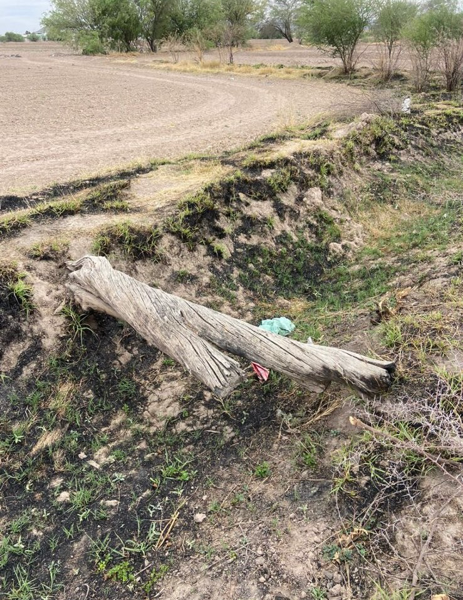 Terreno en venta en Lerdo Centro, Lerdo — foto 3 de 6