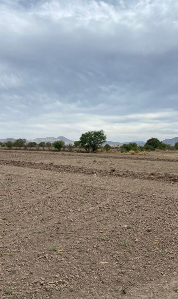 Terreno en venta en Lerdo Centro, Lerdo — foto 2 de 6