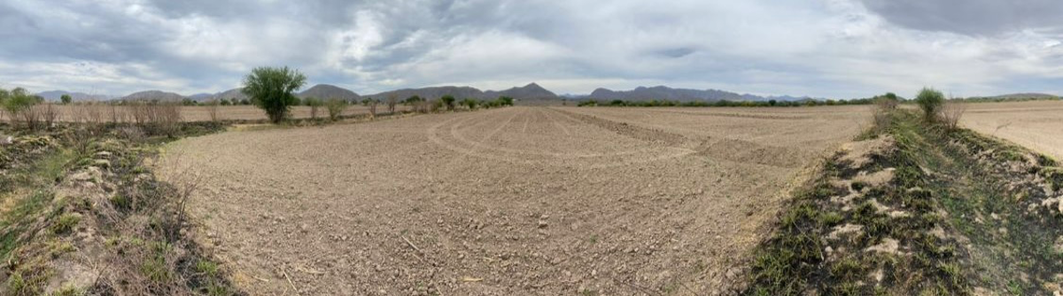 Terreno en venta en Lerdo Centro, Lerdo — foto 1 de 6