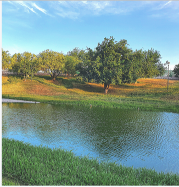 Terreno en venta en Villas del Renacimiento, Torreón — foto 3 de 12