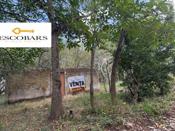Terreno en venta en Cedral, Medellín de Bravo — foto 2 de 12