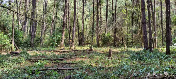 Terreno en venta en Avandaro, Valle de Bravo — foto 2 de 14