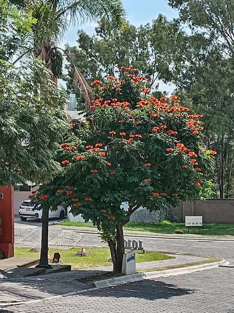 picture-3