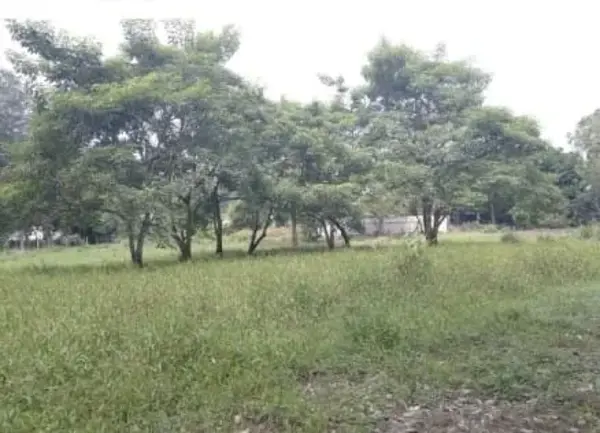 Casa en venta en Tlalixcoyan, Tlalixcoyan — foto 3 de 3