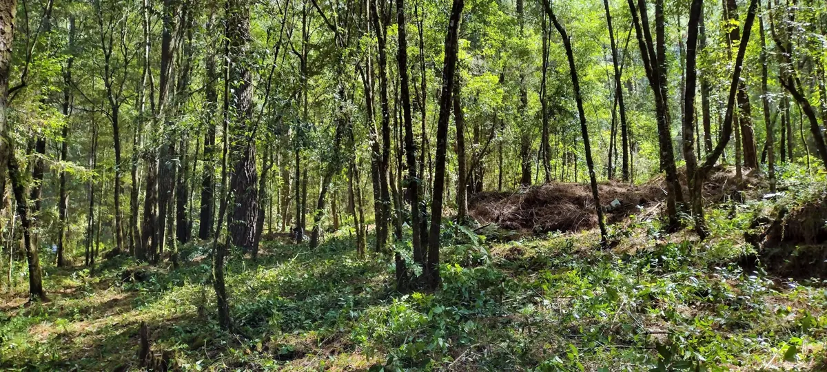 Terreno en venta en Avandaro, Valle de Bravo — foto 1 de 14