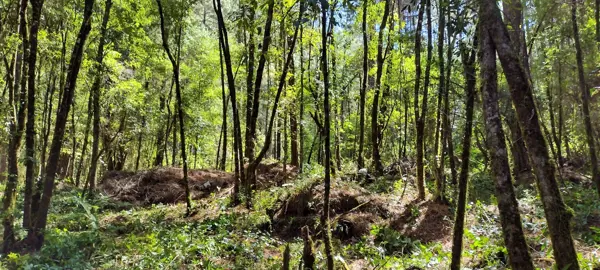 Terreno en venta en Avandaro, Valle de Bravo — foto 3 de 14