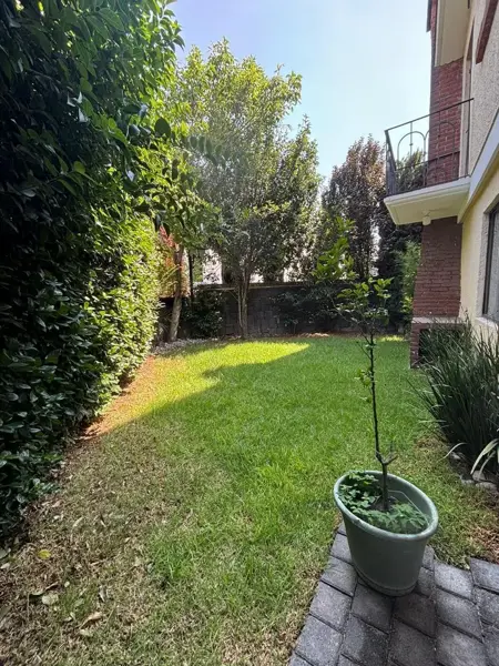Casa en renta en Barrio San Francisco, La Magdalena Contreras — foto 3 de 13