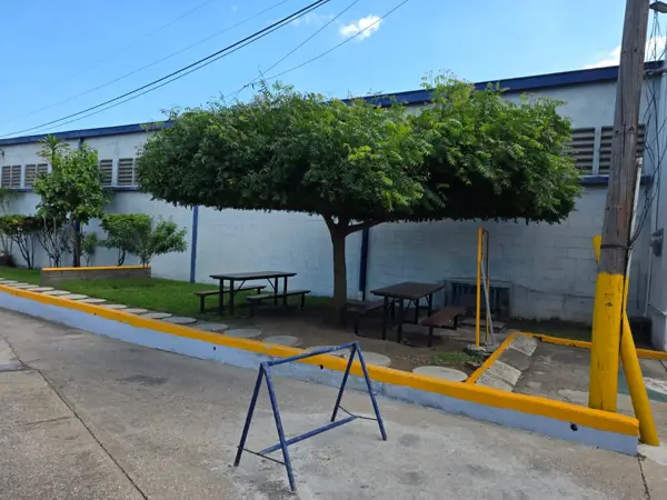 Bodega en renta en Miramar, Altamira — foto 3 de 9