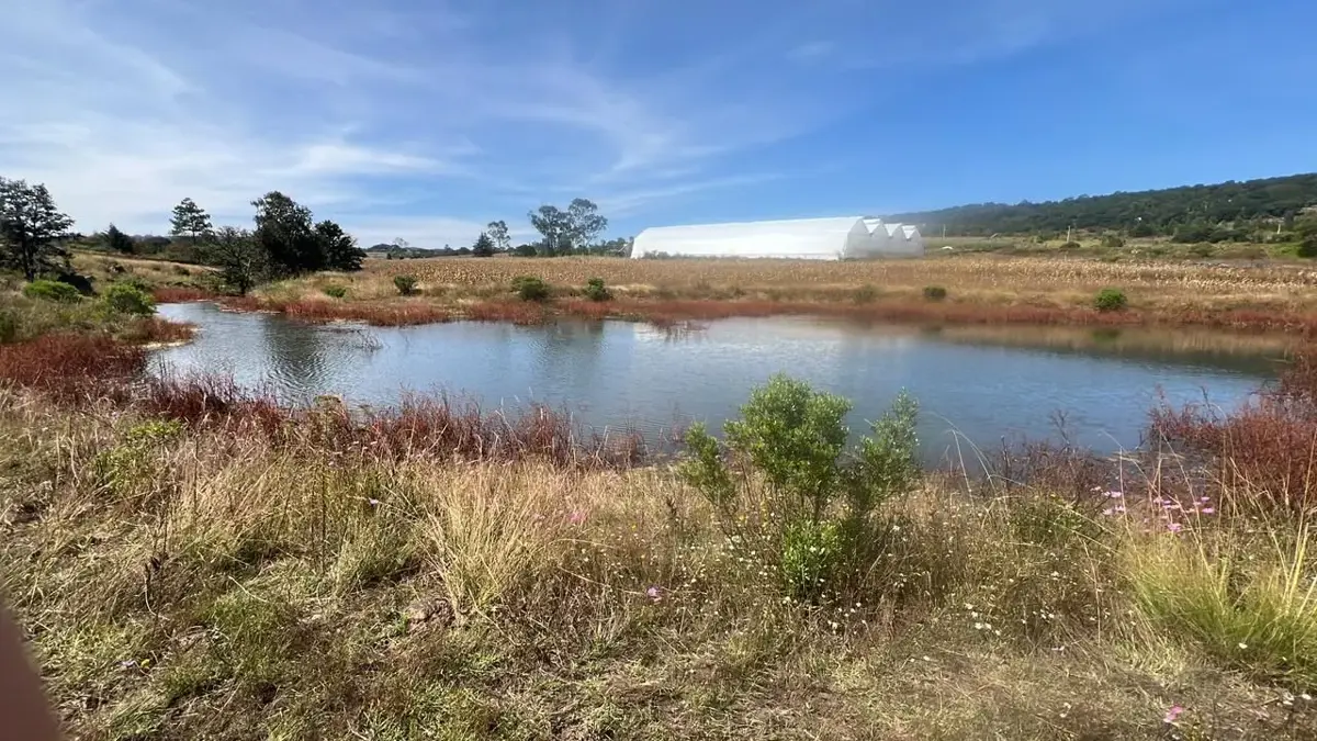 Terreno en venta en San Pedro Tenango, Amealco de Bonfil — foto 1 de 10