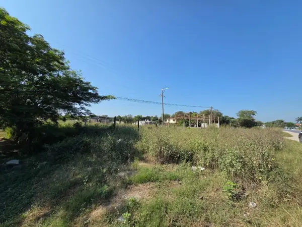 Terreno en venta en Vergel, Ébano — foto 2 de 4
