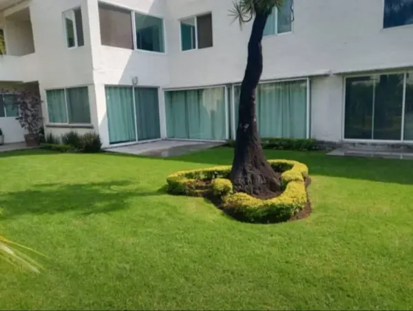 Departamento en renta en Vista Hermosa, Cuernavaca — foto 2 de 8
