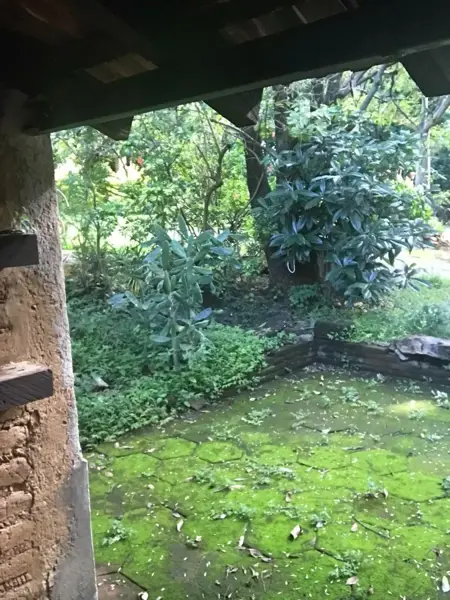 Casa en renta en Santa Maria Ahuacatitlan, Cuernavaca — foto 2 de 5