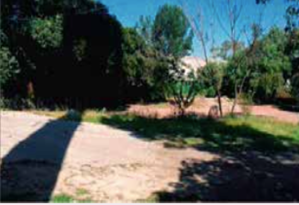 Terreno en venta en Lomas Altas, Miguel Hidalgo — foto 3 de 5