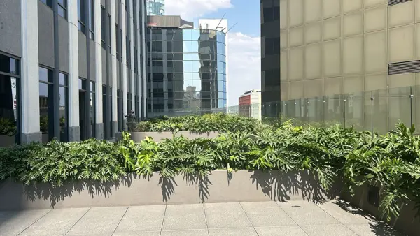 Oficina en venta en Tabacalera, Cuauhtémoc — foto 3 de 22