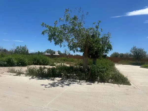 Terreno en venta en La Barranca, Torreón — foto 3 de 5