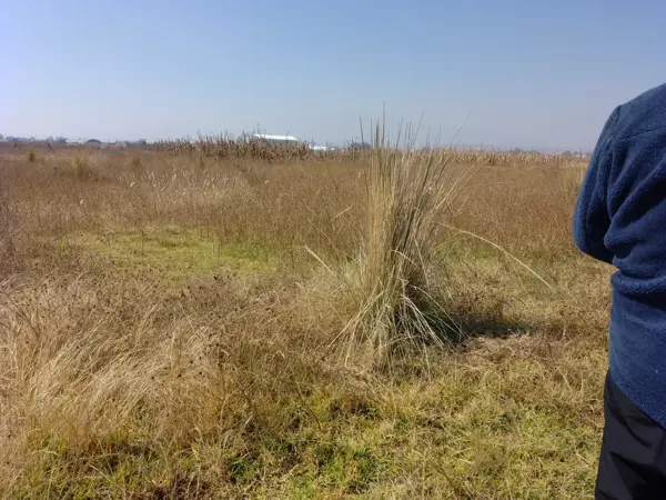 Terreno en venta en San Miguel Totocuitlapilco, Metepec — foto 2 de 4