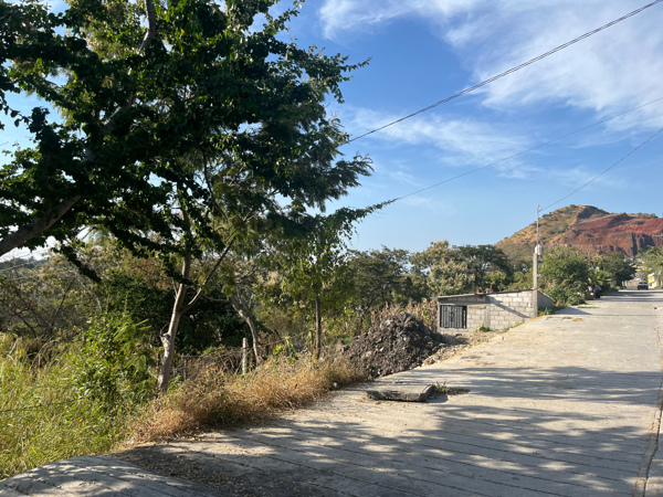 Terreno en venta en Ampliación Tetillas, Yautepec — foto 2 de 6