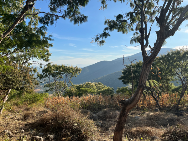 Terreno en venta en Ampliación Tetillas, Yautepec — foto 3 de 6
