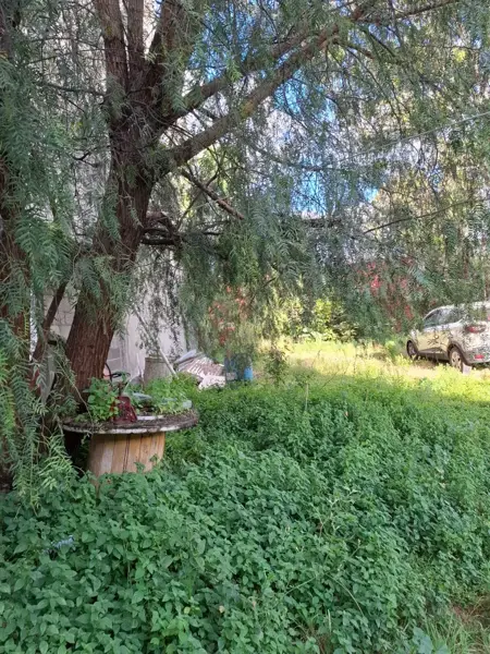 Terreno en venta en San Simon Ticumac, Benito Juárez — foto 3 de 7