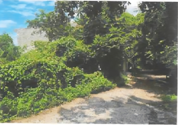 Terreno en venta en La Primavera, Puerto Vallarta — foto 2 de 4