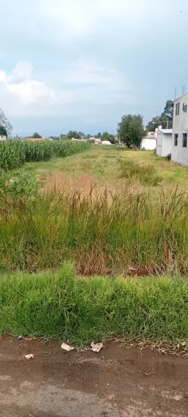 Terreno en venta en San Francisco Tepeyac, San Martín Texmelucan — foto 2 de 8