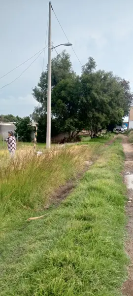 Terreno en venta en San Francisco Tepeyac, San Martín Texmelucan — foto 3 de 8