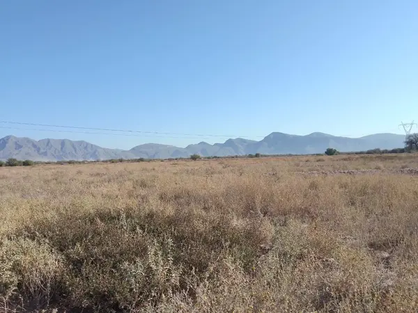 Terreno en venta en Andalucia, Matamoros — foto 2 de 7