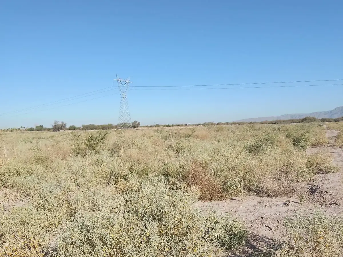 TERRENO EN VENTA EN EJIDO ANDALUCÍA MATAMOROS, COAHUILA TERRENO EN VENTA EN EJIDO ANDALUCÍA MATAMOROS, COAHUILA
