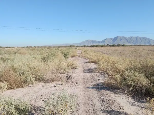 Terreno en venta en Andalucia, Matamoros — foto 3 de 7