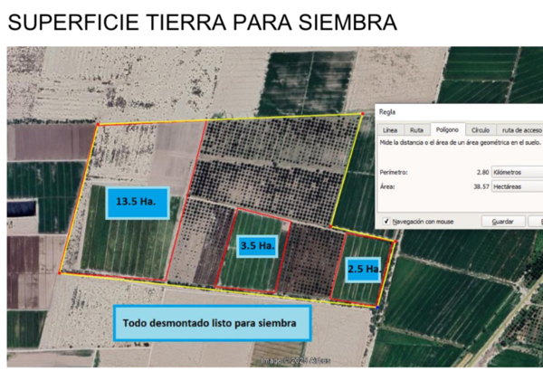 Rancho Nogalero en Venta – Ejido 20 de Noviembre, Coahuila
