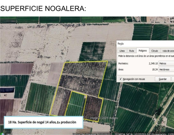 Terreno en venta en Veinte de Noviembre (santa Lucia), San Pedro — foto 2 de 7