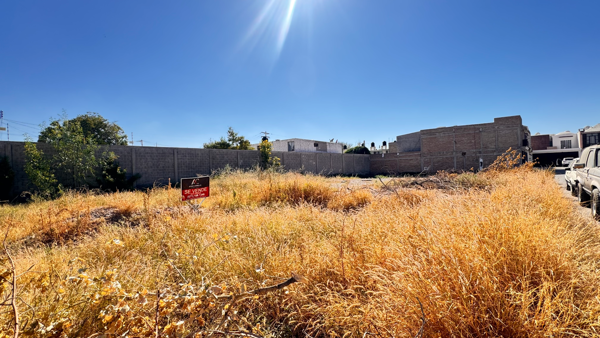 Terreno en venta en Las Granjas, Gómez Palacio — foto 3 de 8