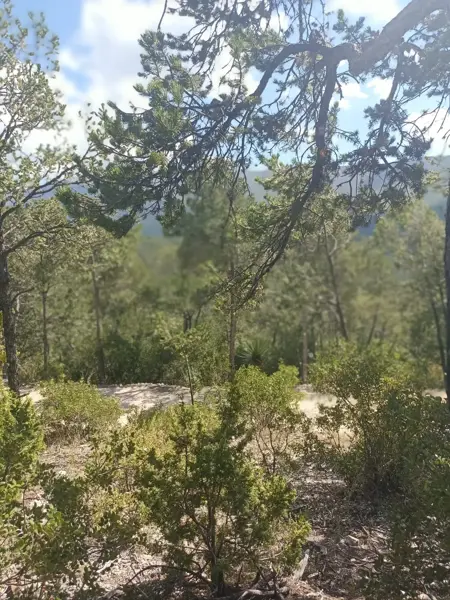 Terreno en venta en La Efigenia, Arteaga — foto 2 de 12