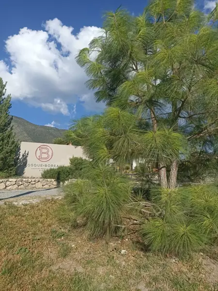 Terreno en venta en La Efigenia, Arteaga — foto 3 de 12
