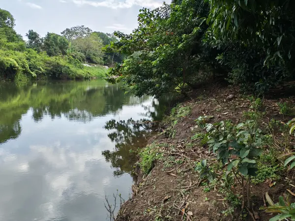 Terreno en venta en El Tejar, Medellín de Bravo — foto 3 de 8