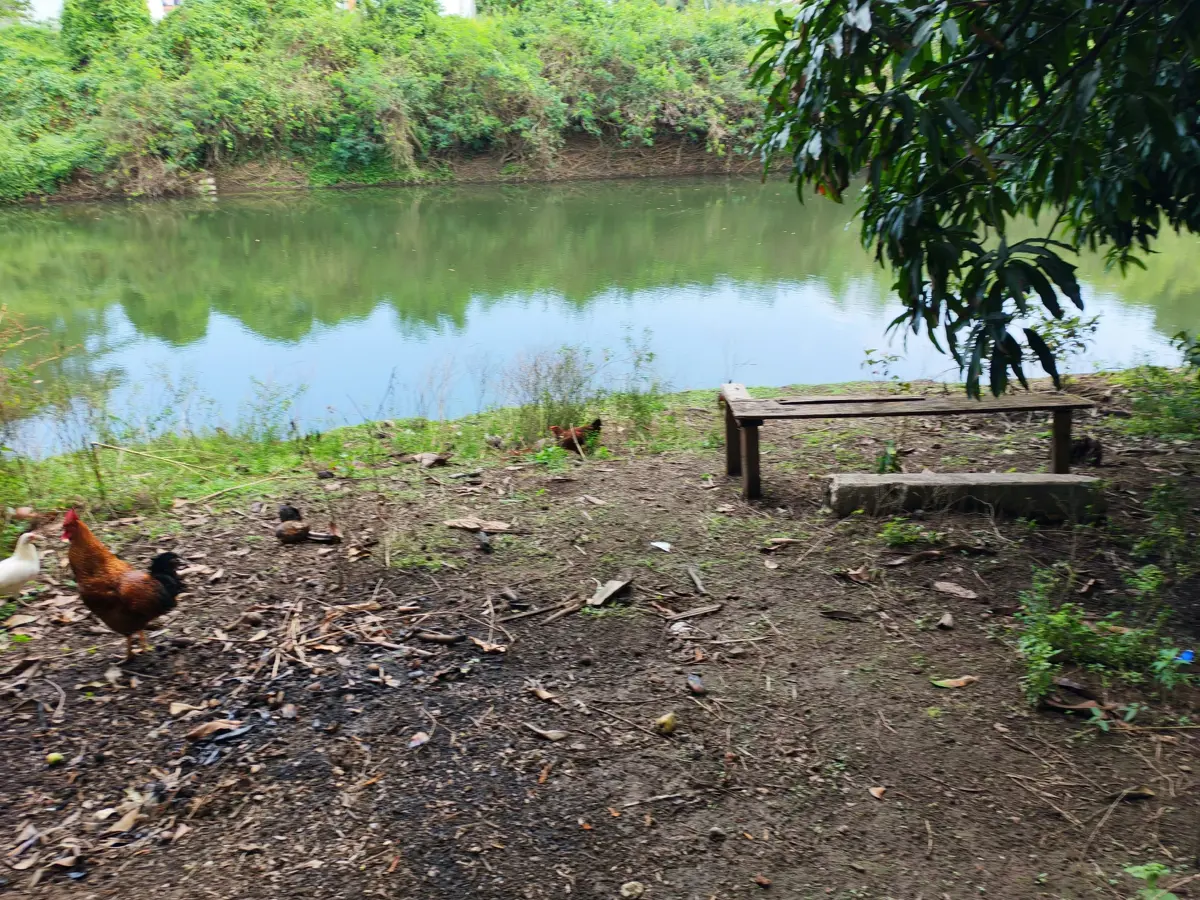 Terreno en venta en El Tejar, Medellín de Bravo — foto 1 de 8