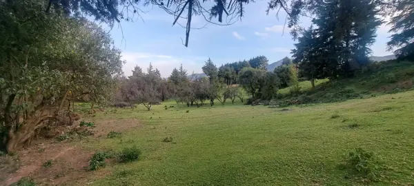 Terreno en venta en Santa Ana Jilotzingo, Jilotzingo — foto 3 de 8