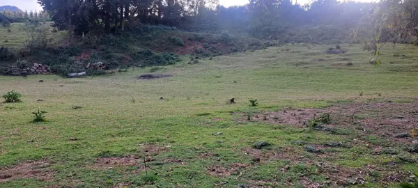 Terreno en venta en Santa Ana Jilotzingo, Jilotzingo — foto 2 de 8