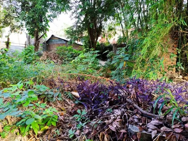 Terreno en venta en Laredo, Poza Rica de Hidalgo — foto 3 de 12