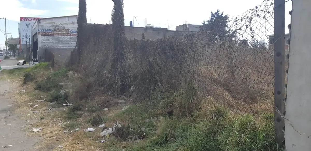 Terreno en venta en San Lucas, Coyoacán — foto 1 de 3