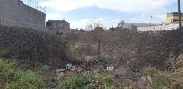Terreno en venta en San Lucas, Coyoacán — foto 3 de 3
