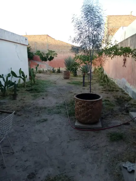 Casa en venta en Ampliación los Ángeles, Torreón — foto 3 de 12
