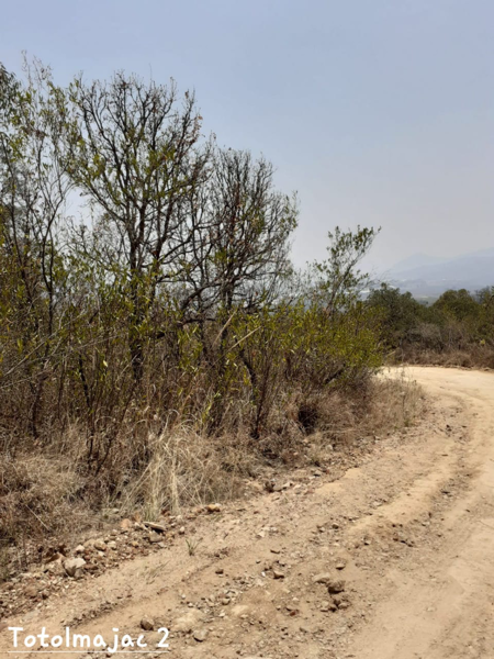 Terreno en venta en Totolmajac, Villa Guerrero — foto 3 de 7
