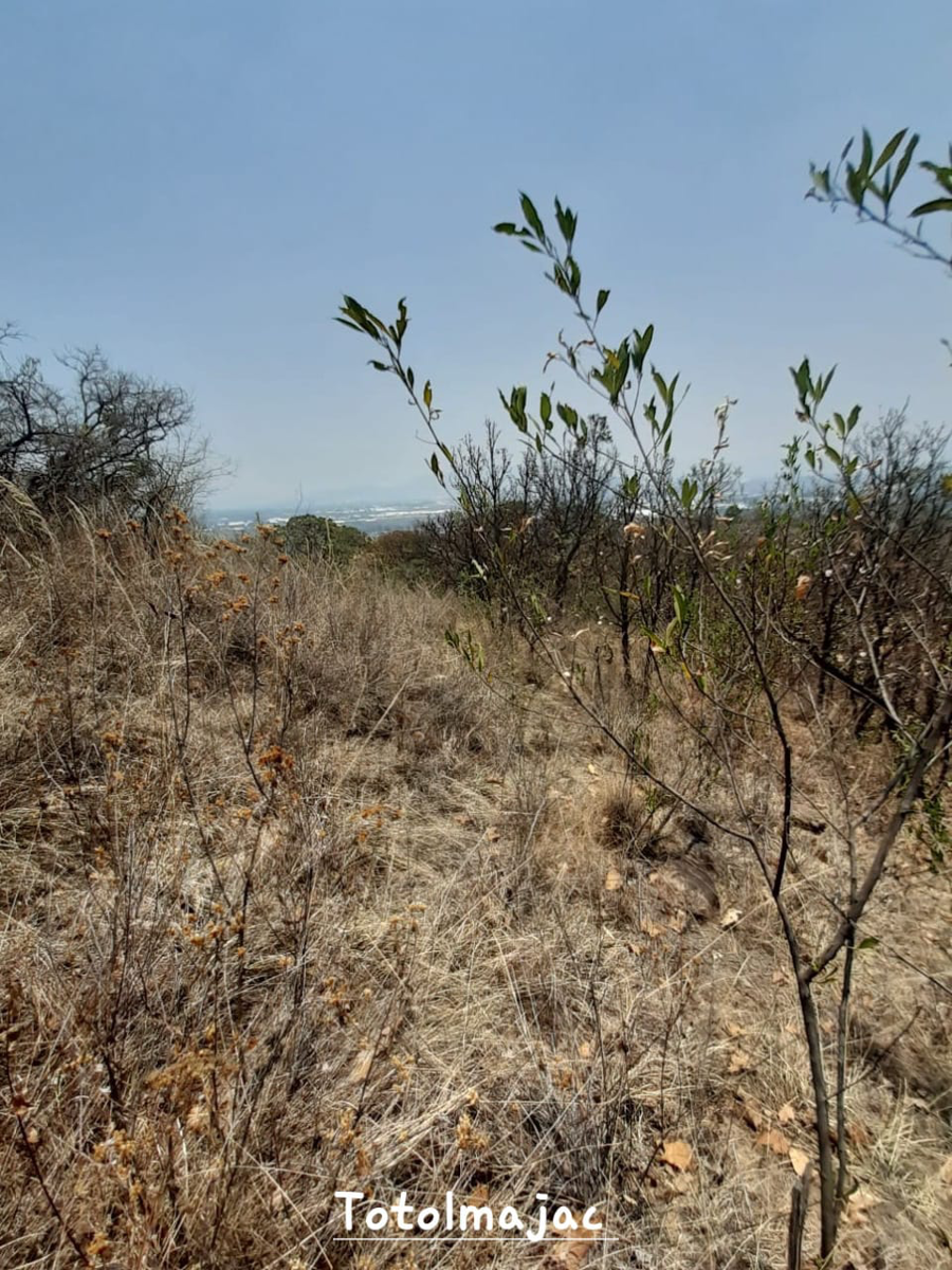 Terreno en venta en Totolmajac, Villa Guerrero — foto 1 de 7